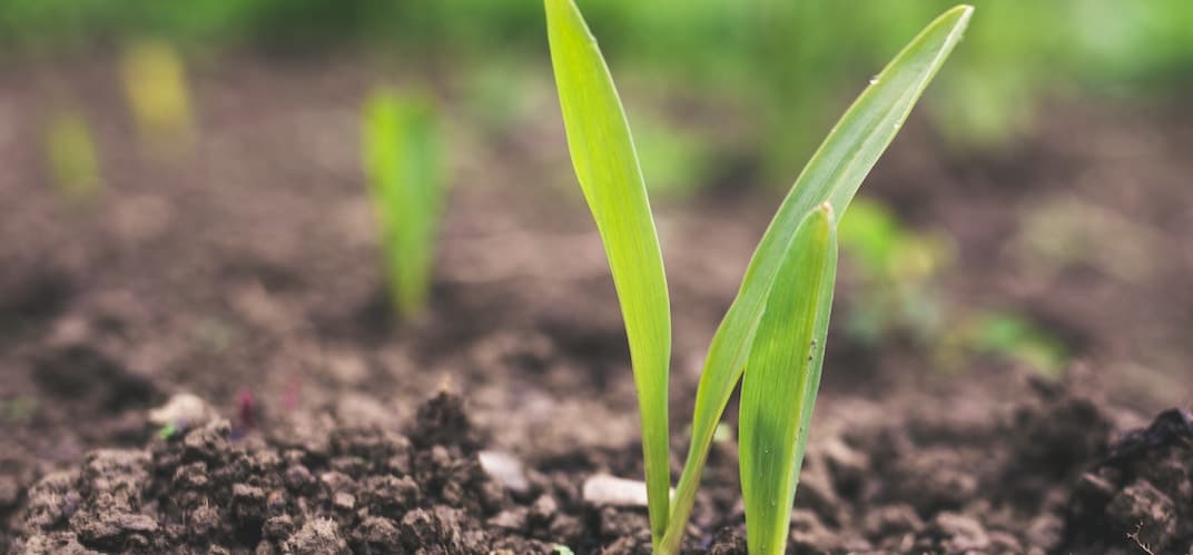 Désartificialisation des sols